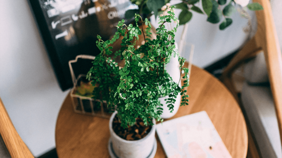 Gợi ý một số cách trang trí bàn ăn gia đình ấm cúng